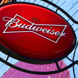 Budweiser Owner Invests in Blockchain Startup Working to Alleviate Poverty
