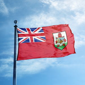 Government of Bermuda Pilots Stimulus Token in Response to COVID Crisis