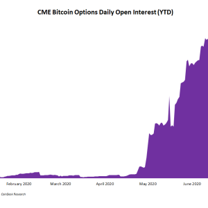 CME Bitcoin Options Flatline After Record Growth in June