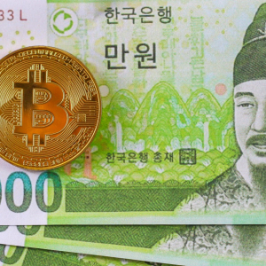 South Korea's Financial Watchdog Warns Investors Over Crypto Funds