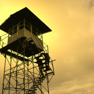 Blockstream’s ‘Watchtowers’ Will Bring a New Justice System to the Lightning Network