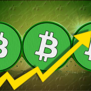 Bitcoin Cash [BCH] Price Prediction Today: The bulls among the bears spikes 5% in 24 hours