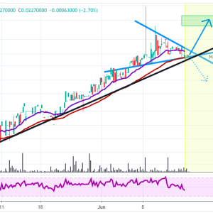 Zilliqa [ZIL]Price Analysis: Zilliqa Still Following Steady Uptrend, Trading In A Triangle Above Support