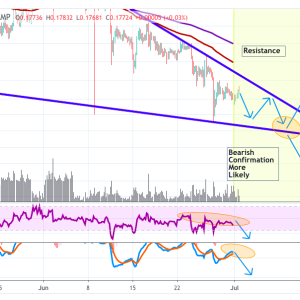 XRPUSD Price analysis: MACD Suggests Bearish Crossover Incoming Possible