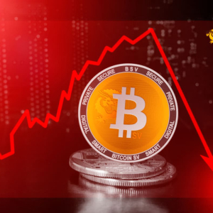 Bitcoin SV [BSV] Price Crashes by 10% As Craig Wright Court Date To Provide Keys Nears