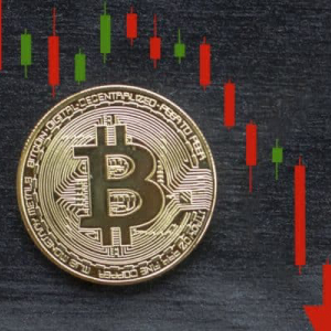 Crypto-Market Update: Bitcoin [BTC] Falls Back to $5000, LTC, BCH and TRX ‘Hodlers’ Incur Even Heavier Losses
