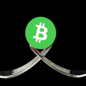 Bitcoin Cash [BCH] Community Distressed Over Possible Chain Split in Nov.