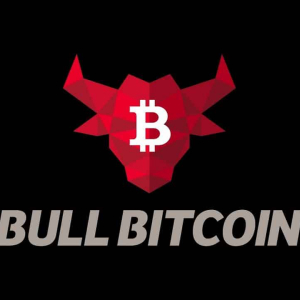 Bitcoin Price Analysis: Why Bitcoin Bulls Are Burying Their Heads In The Sun?