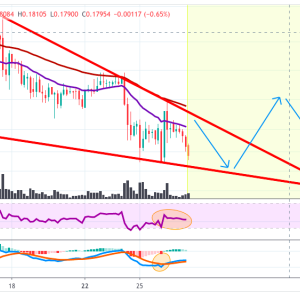XRPUSD Price analysis: XRP Prices Continue To Be In Downtrend With More Possible Declines