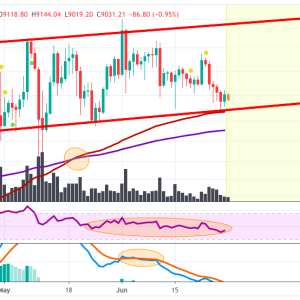 BTCUSD Price Analysis: Bitcoin Again In Bullish Range, Finds Support At The EMAs