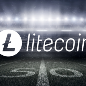 Litecoin Achieves Major Success at Miami Dolphins – Price Jumps Over 16%