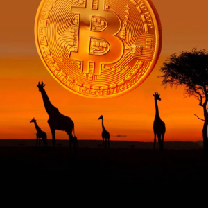 Bitcoin Adoption In Full Swing As Bitcoin Weekly P2P Volumes Set Record Highs Across Sub-Saharan Africa