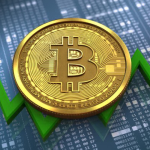 Bitcoin Could Hit $102,000 During the Next Bull Run – Trader Analysed Citing Key Factors