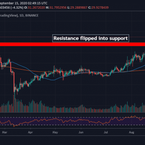 Binance Coin Technical Analysis: BNB Drawing Closer To Yearly Highs, DeFi Integration Spikes Interest