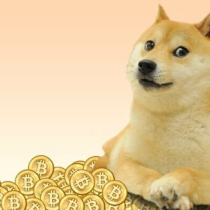 Dogecoin [DOGE] Price On Leap As Largest Exchange Bid To Support DOGE on Official Wallet