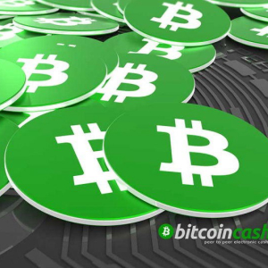 Bitcoin Cash [BCH] Hits Higher, Trades at $320 Amidst its Fork Dipping the Bottom