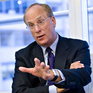 World’s Largest Asset Manager BlackRock’s CEO Sees Bitcoin Booming Into a Global Market