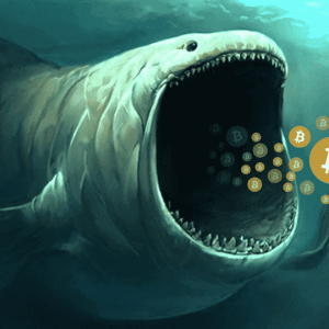 Massive Deposits By Bitcoin (BTC) Whales At Exchanges, Avoid ‘Buy on Dips’
