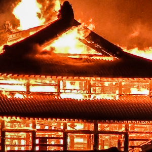 XRP and Bitcoin Donations to Help Rebuilding World Heritage Site Destroyed by Fire