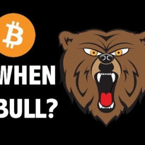 Bull run – Bitcoin 2018