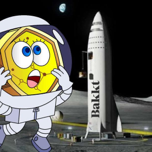 Bakkt: Huge Budget for 2019: Taking Bitcoin to the Moon?