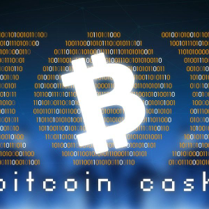 Bitcoin Cash Price Analysis: BCH/USD holding the support.