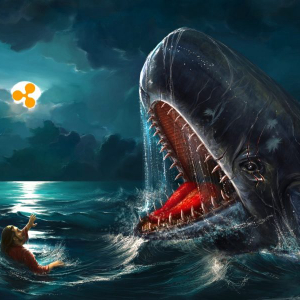 Disappointed by Swell? XRP whales want you to dump, do not panic sell