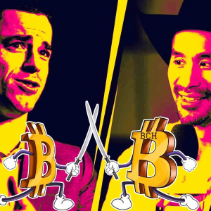 Controvery, BTC vs BCH, Jimmy Song vs Roger Ver