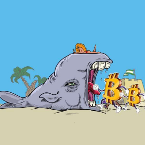 Bitcoin Whale Alert: 20355 BTC moved out of Binance and Bitfinex