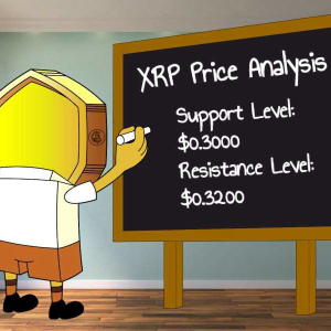 XRP to USD: Ripple Price Analysis, Following BTC and ETH