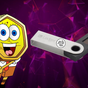 IOTA &#038; Ledger Collaboration: What are the gains?