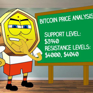 Bitcoin Price Analysis: Is BTC ready for the next bull run?