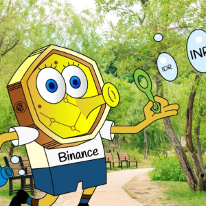 Binance aiming for emerging markets with P2P support for INR and IDR