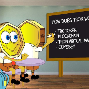 Explained: How TRON Works?