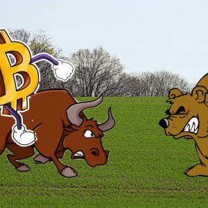 BTCUSD latest price analysis: Bitcoin Bulls v/s Bears