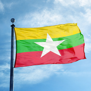 The central bank of Myanmar outlaws the use of cryptocurrencies in the country.