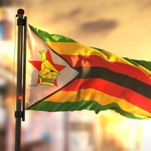 Zimbabwe suspends mobile payments to stop the national currency from collapsing.