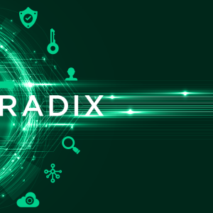 Recap After E-Radix Token Sale: Radix to Transform the Defi Sector