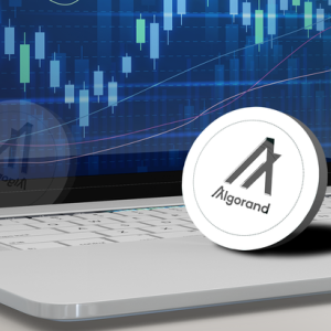 Algorand Recap – $ALGO is Crypto’s 2020 Hidden Gem