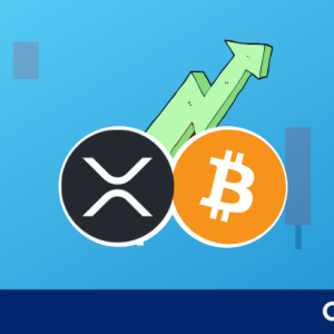 Top Reasons Why XRP Price Is Not Impacted by the Bitcoin Bull Rally