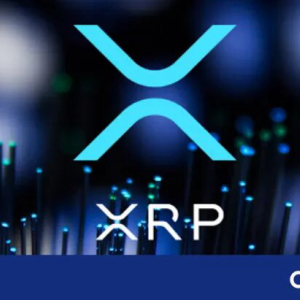 XRP Price Record Gains As Markets Swing Bullish !! Will It Sustain or Get Rejected?
