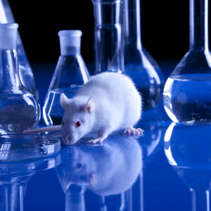 Moderna (MRNA) Stock Up Over 3% Today, mRNA-1273 Vaccine Passes Safety Test on Animals