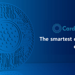 CardanoStaking – the Smartest Choice in the Crypto World