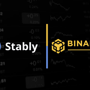 StableUSD Becomes the First Stablecoin Listed On Binance DEX
