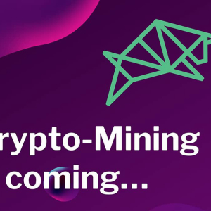 Crypto Mining Is Providing Its Users with Amazing Flexibility for Mining Bitcoin and Altcoins