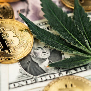 Overview: Where The Crypto and Cannabis Markets Wind Blows?