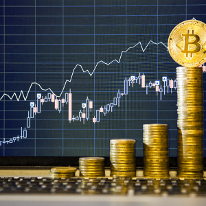 Bitcoin Price Has the Best January in 7 Years as BTC Halving Is Getting Closer
