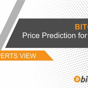 Bitcoin Price Prediction for 2019: Experts View