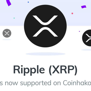 Ripple’s XRP Wins Over Yet Another Trading Platform, Now It’s Tim Draper Backed Coinhako