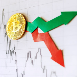 Bitcoin Halving Is Getting Closer Boosting People’s Interest, Will BTC Price Rise?
